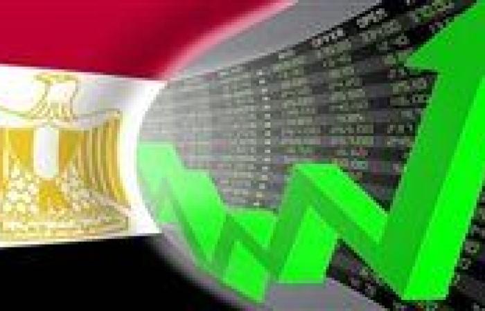 رويترز: نمو الاقتصاد المصري سيرتفع إلى 4% بحلول يونيو 2025