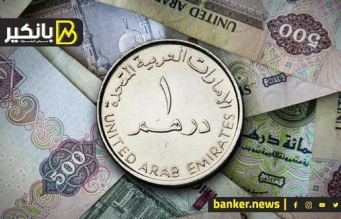 سعر الدرهم الإماراتي أمام الجنيه المصري في تعاملات اليوم الجمعة 25-10-2024