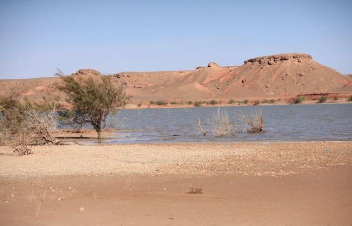 خبراء يفندون اتهامات مسؤول جزائري للمغرب بتجفيف سدود "الجارة الشرقية"