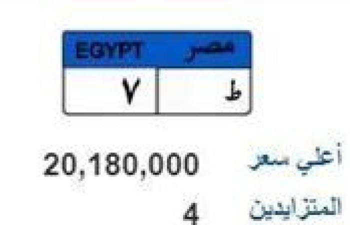 أغلى لوحة في مصر.. طرح لوحة معدنية  بأكثر من 20 مليون جنيه