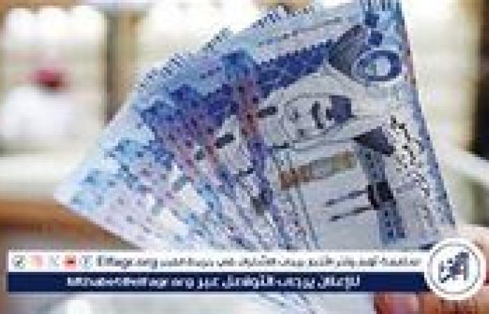 استقرار سعر الريال السعودي مقابل الجنيه المصري في تعاملات 27 أكتوبر 2024