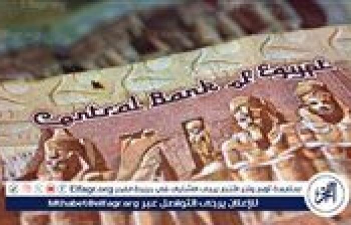 استقرار سعر الجنيه المصري أمام عملات دول البريكس بعد قمة 2024