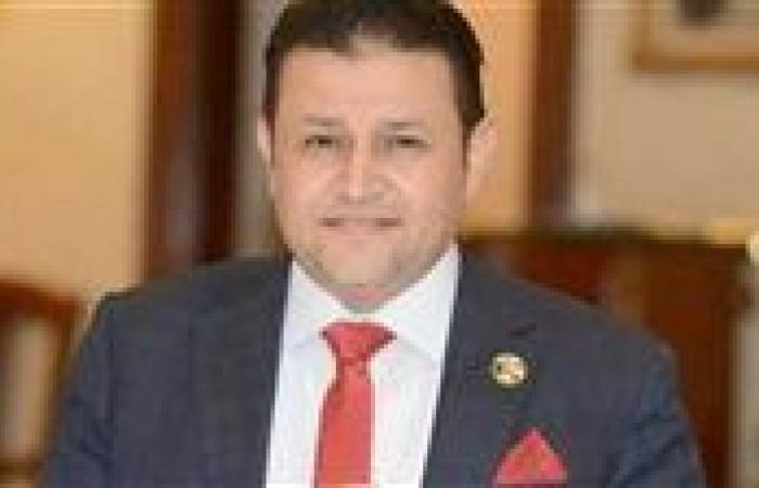 شحاتة أبو زيد: تكاتف الجبهة الداخلية الدرع الأول لحماية الأمن القومي.. ورسائل الرئيس تعبر عن دقة المرحلة