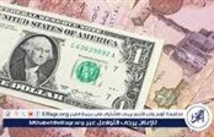 انخفاض سعر الدولار مقابل الجنيه المصري اليوم الأثنين 28 أكتوبر 2024