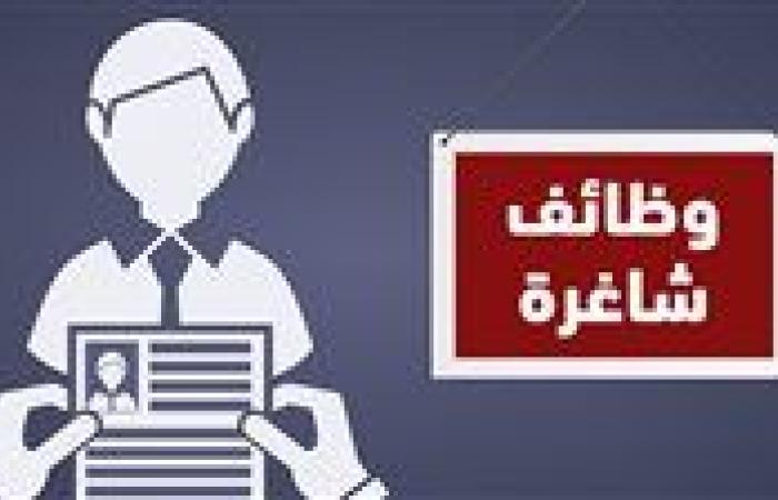 وظائف خالية لمختلف التخصصات بمحافظة الجيزة.. قدم الآن