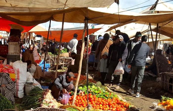 الجبايات تدمج القطاع غير المهيكل