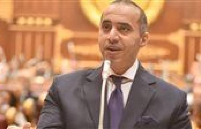 الوزير محمود فوزي: تقديم الطلبات الخاص بإنهاء المنازعات الضريبية إلكترونيا يسهل على الممولين ولا يتعارض مع القانون