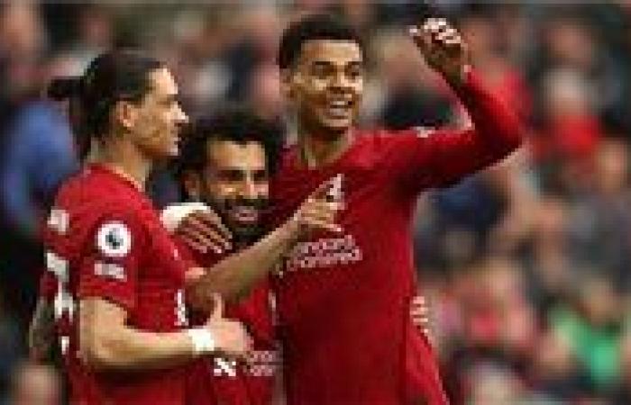 مواعيد مباريات اليوم.. ليفربول يواجه برايتون وتوتنهام ضد مان سيتي