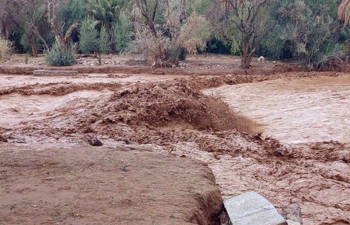 فعاليات تطالب بإطلاق "العتبات المائية" في المناطق المتضررة من السيول