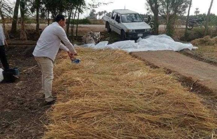 الزراعة تصدر تقرير متابعة منظومة جمع وتدوير قش الأرز