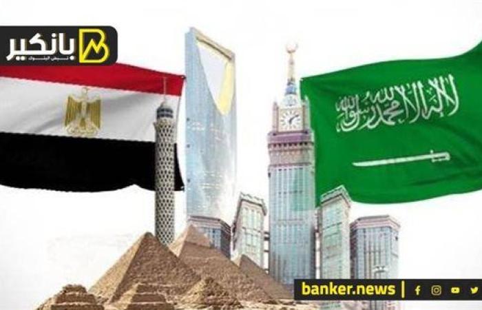 مصر تعتزم زيادة التبادل التجاري مع السعودية بنسلة 20% خلال 2025 إلى 8.137 مليار دولار