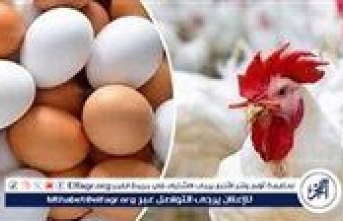 أسعار البيض اليوم السبت 2-11-2024 في الدقهلية