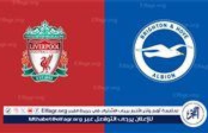 جارية الآن مشاهدة مباراة ليفربول وبرايتون بث مباشر، يلا شوت اليوم في الدوري الإنجليزي