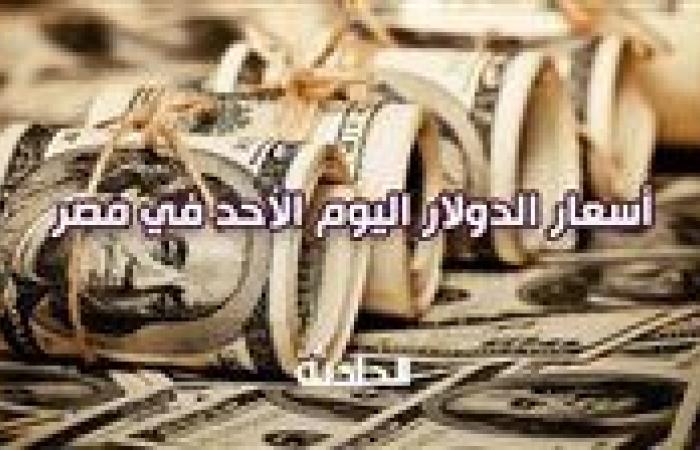 زي ما هو .. سعر الدولار اليوم الأحد في مصر 3 نوفمبر 2024