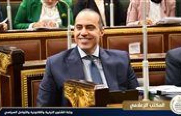 تحيا مصر يرصد مشاركات الوزير محمود فوزي بجلسات البرلمان اليوم.. صور