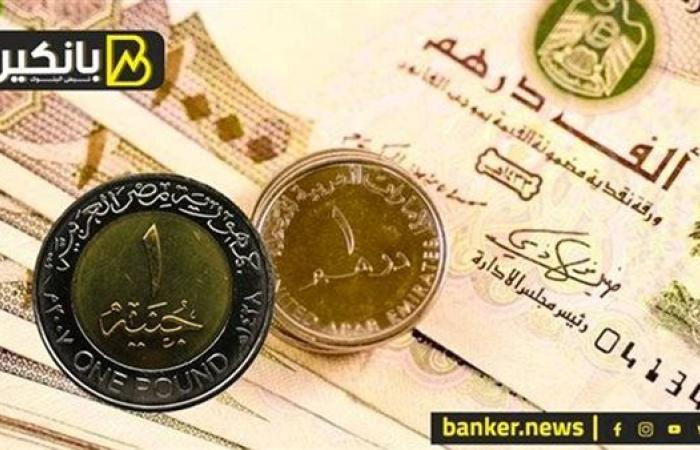 سعر الدرهم الإماراتي أمام الجنيه المصري في تعاملات اليوم الإثنين 4-11-2024