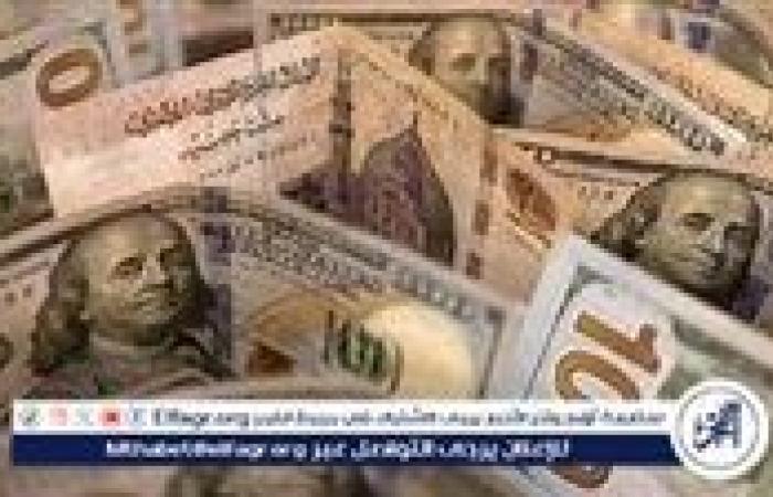 استقرار سعر الدولار مقابل الجنيه المصري اليوم 5 نوفمبر 2024 بعد ارتفاعه