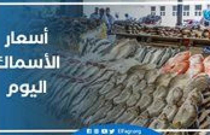 أسعار الأسماك اليوم الثلاثاء 5-11-2024 في الدقهلية