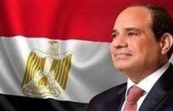 الرئيس السيسي يهنئ دونالد ترامب بفوزه بالانتخابات الرئاسية الأمريكية