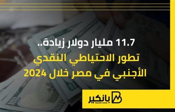 بزيادة 11.7 مليار دولار.. تطور الاحتياطي النقدي الأجنبي في مصر خلال 2024