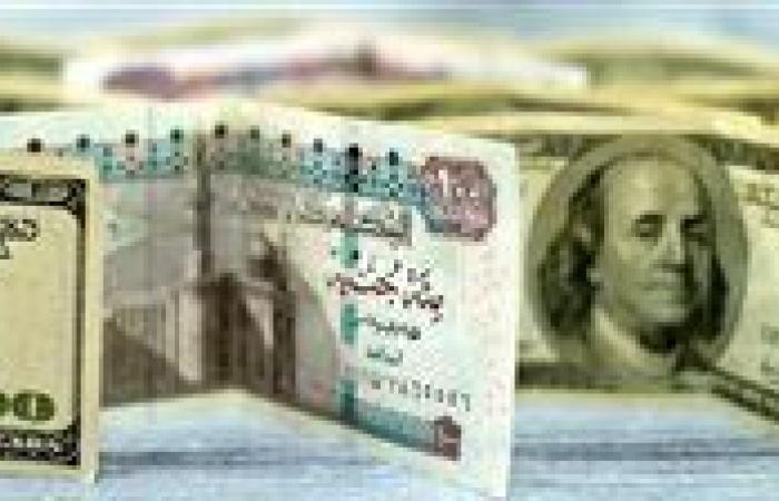 متحدث الحكومة يرد على شائعات تعويم الجنيه: السعر بناء على العرض والطلب