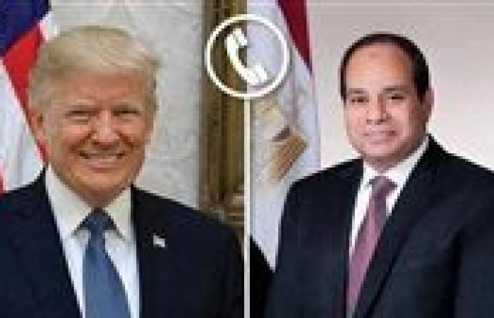 الرئيس السيسي يجري اتصالا بـ«ترامب» ويؤكد تطلع مصر لاستكمال  التعاون المميز مع واشنطن