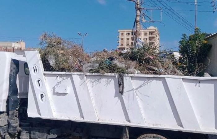 "مفيش ورقة على الأرض".. رفع 1300 طن مخلفات بكفر الشيخ| صور