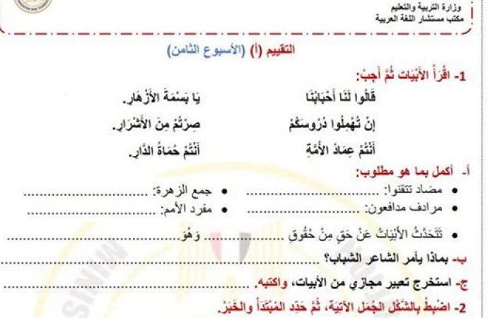 مراجعات نهائية.. أسئلة تقييم الاسبوع الثامن في اللغة العربية الصف الرابع الابتدائي