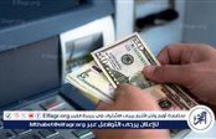 ارتفاع ملحوظ في سعر الدولار أمام الجنيه المصري اليوم الجمعة 8 نوفمبر 2024