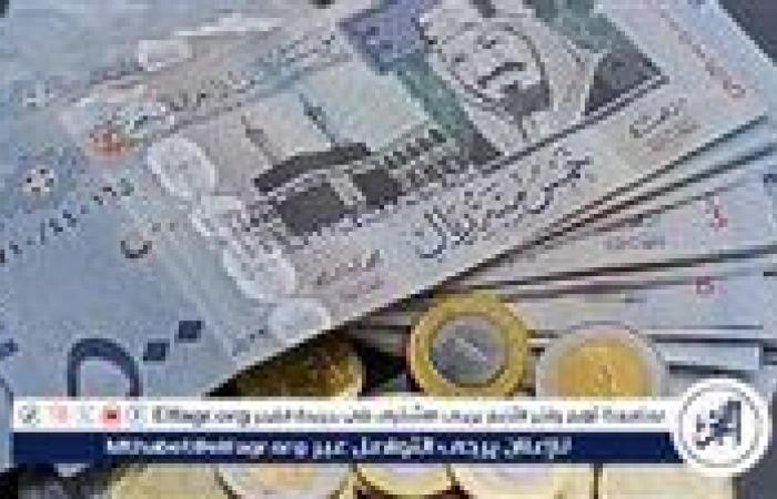 استقرار سعر الريال السعودي اليوم السبت 9 نوفمبر 2024 مقابل الجنيه المصري في البنوك