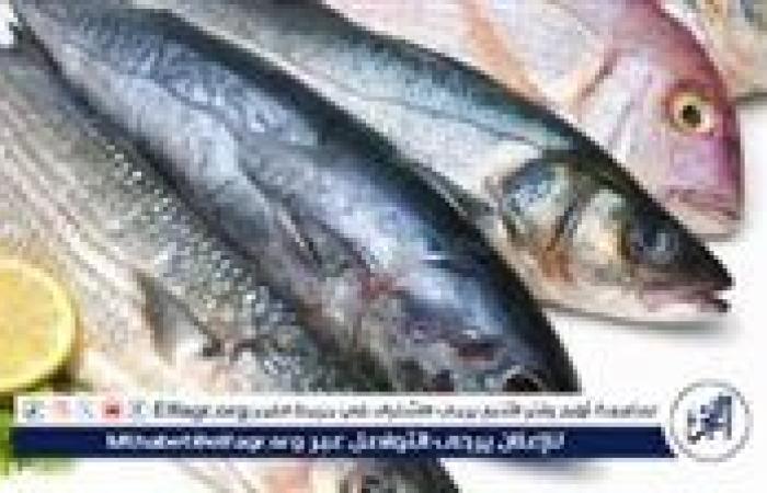 سعر السمك والجمبري اليوم الأحد 10-11-2024 بأسواق الجمهورية