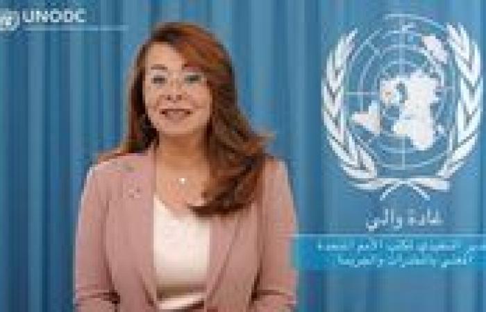 غادة وإلى: الاستراتيجية المصرية لمكافحة المخدرات نموذج يحتذى به في المنطقة