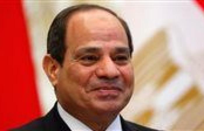 الرئيس السيسي: مصر ستقف ضد جميع المخططات التى تستهدف تصفية القضية الفلسطينية