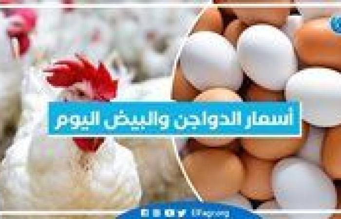 أسعار الدواجن والبيض اليوم الاثنين 11-11-2024 بمحافظة البحيرة