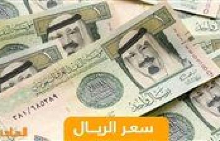 سعر الريال السعودي اليوم الثلاثاء 12 نوفمبر مقابل الجنيه المصري.. 13.05 جنيه للشراء