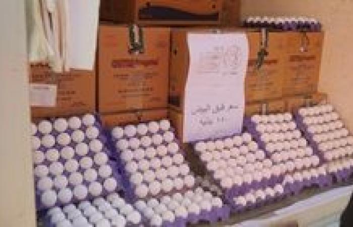 طرح 23 ألف طبق بيض في كفر الشيخ بسعر 150 جنيها