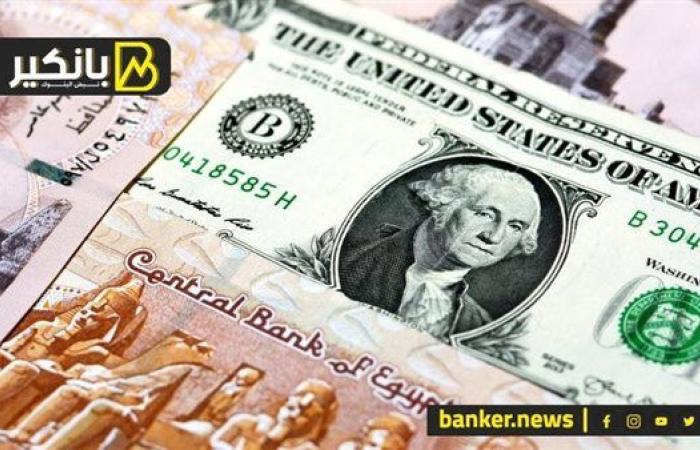 سعر الدولار أمام الجنيه المصري في تعاملات اليوم الخميس 14-11-2024