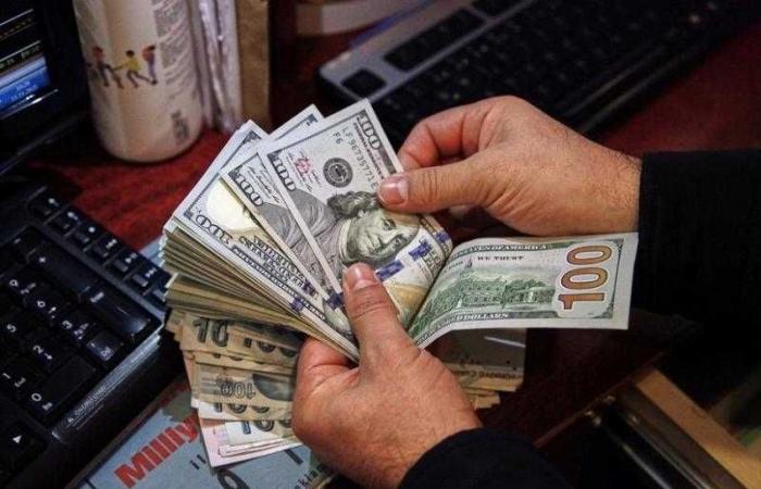 أستاذ اقتصاد: تحويلات المصريين بالخارج تساهم في توفير بيئة أكثر جاذبية للاستثمار