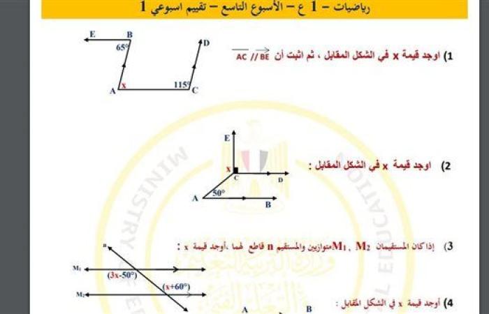 مراجعات نهائية.. أسئلة تقييم الأسبوع التاسع الرياضيات لـ الصف الأول الإعدادي