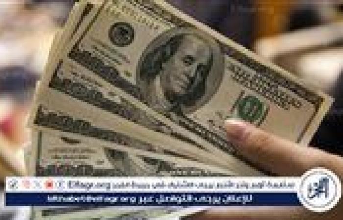 استقرار سعر الدولار أمام الجنيه المصري اليوم الأحد 17 نوفمبر 2024