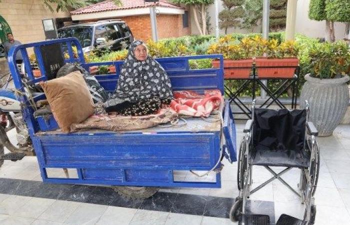 لفتة إنسانية.. محافظ المنوفية يصرف كرسي متحرك ومساعدة مالية عاجلة لسيدة من ذوي الهمم