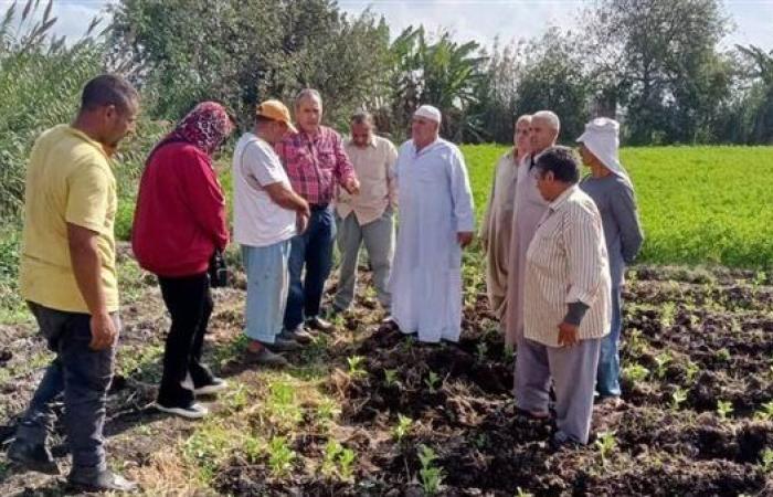 البحوث الزراعية يستعرض حصاد أنشطة مبادرة المراكز الإرشادية الزراعية خلال أسبوعين