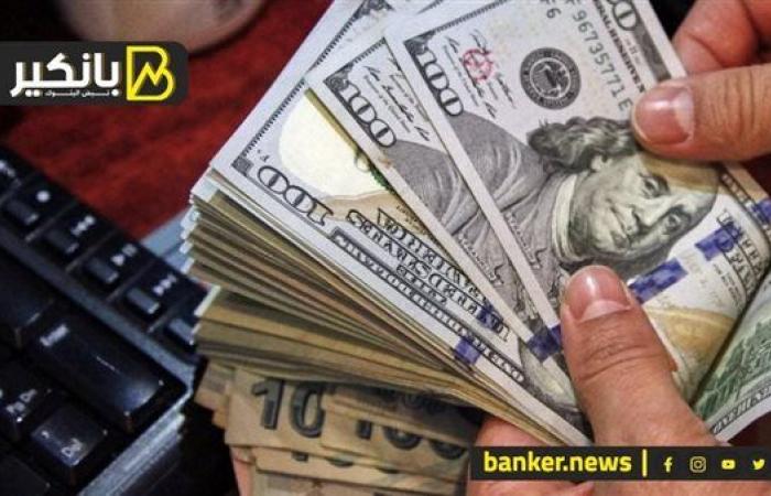 سعر الدولار أمام الجنيه المصري في نهاية تعاملات اليوم الإثنين 18-11-2024