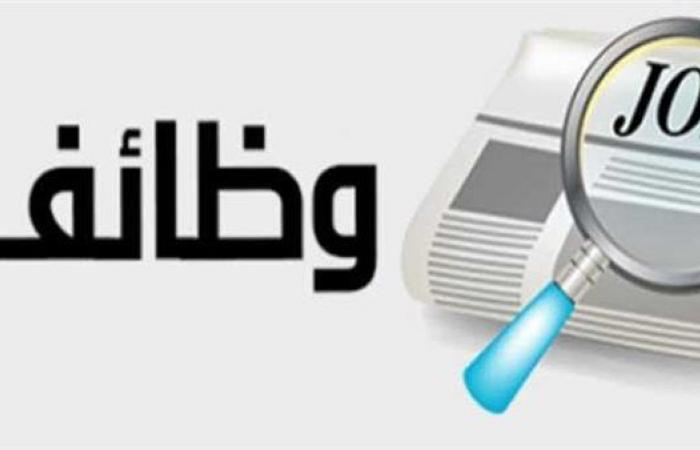 توفير 195 فرصة عمل في 10 شركات بالقليوبية