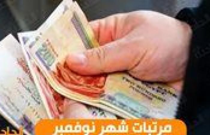 هتقبض كام؟ .. اعرف مرتبات شهر نوفمبر 2024 حسب الدرجة الوظيفية