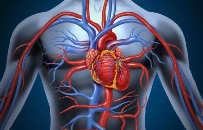 علماء يضعون أطلس شامل لخلايا الجسم البشري