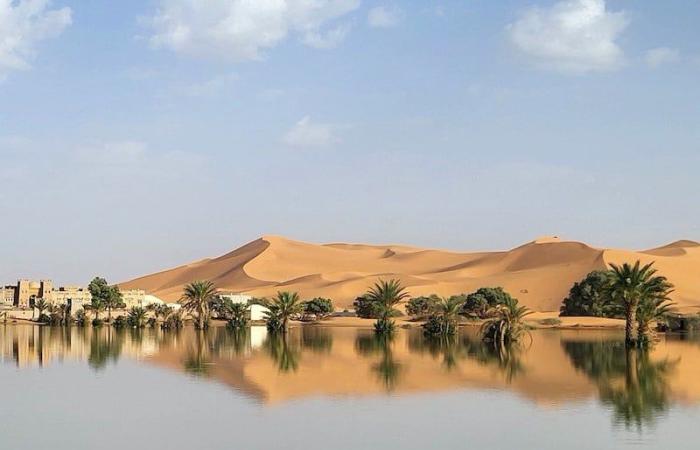 تصنيف المغرب في "مؤشر الأداء المناخي" يثير نقاشا حول المعايير والمنهجية