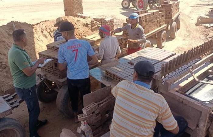 "لضمان حقك القانوني".. خطوات التسجيل في التأمينات الاجتماعية للعمالة غير المنتظمة