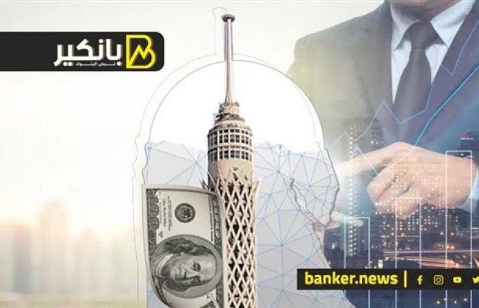 خطة المشاط.. شوف إزاي الحكومة بتجذب الاستثمارات الأجنبية