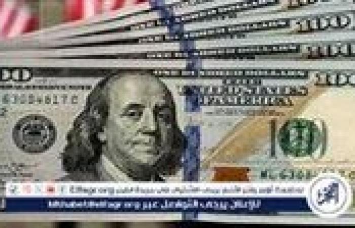 استقرار سعر الدولار مقابل الجنيه المصري اليوم الإثنين 25 نوفمبر 2024